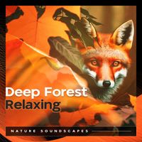 Nature Soundscapes - Deep Forest Relaxing
