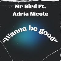 Mr Bird - Wanna Be Good