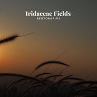 Iridaceae Fields - Restorative