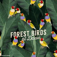 Singing Birds - Forest Birds at Dawn