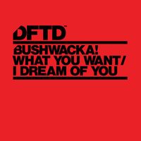 Bushwacka! - What You Want / I Dream Of You