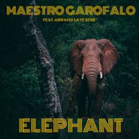 Maestro Garofalo - Elephant