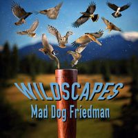Mad Dog Friedman - Wildscapes