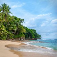 Chill Machine - Tropical Tranquility