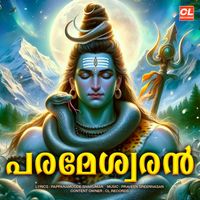 Ravi Sankar - Parameswaran