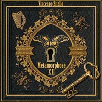 Vincenzo Zitello - Metamorphose VII