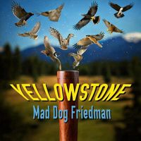 Mad Dog Friedman - Yellowstone