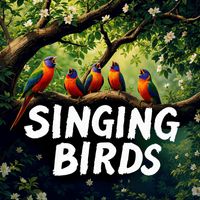 Singing Birds - Singing Birds