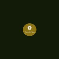 Schuerfes - Martian Dichotomy