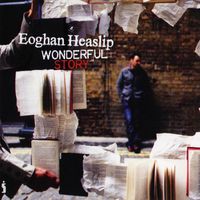 Eoghan Heaslip - Wonderful Story