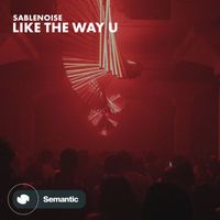 Sablenoise - Like the Way U