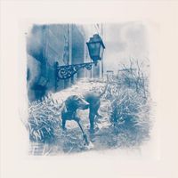 Philipp Stolberg - The Dog Under the Lantern