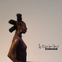 Zenesoul - Is it fun for you?