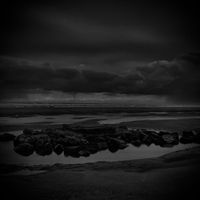 diederik wissels - STEAM
