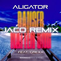 DJ Aligator - Danser Natten Ung (Jaco Remix)