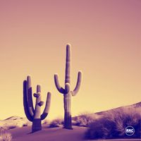 Nik Sand - My Last For Legacy