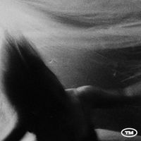 The Manatees - Without You