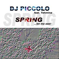 DJ Piccolo - Spring (...Let Me See!)