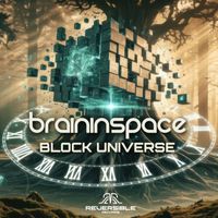 Brain In Space - Block Universe