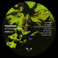 FENIM0RE - Intrinsic Rytms