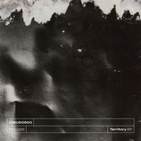 PSEUDO500 - Territory