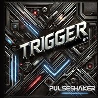 Pulseshaker, Ingo Herrmann - Trigger