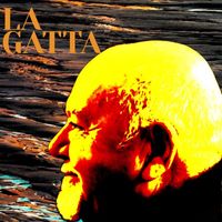 Maurizio - La Gatta (Live)