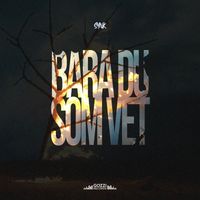 SYNK - Bara du som vet