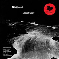Nils Økland - Glødetrådar