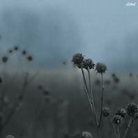 iJo - Beneath the gray