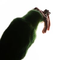 KOMODO - HELLO, WORLD!
