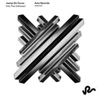 James De Torres - Into The Unknown