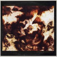 Salamander - Birds of Appetite