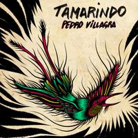 Pedro Villagra - Tamarindo