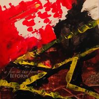 Reform - A Fire in the Forest