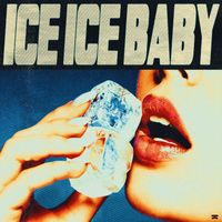 DJ Aligator - Ice Ice Baby
