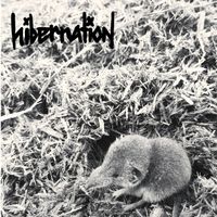 hibernation - Krach