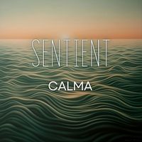 Sentient - Calma