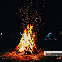 Path to the Wild - Cozy Fire In The Wild
