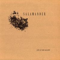 Salamander - Live at Soo Gallery
