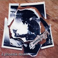 Oversight - A Phoenix Down