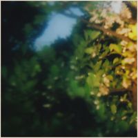 Coppice Halifax - The Mosaic Wind