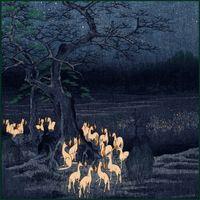 Coppice Halifax - Shades of Night in Green Minor