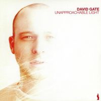 David Gate - Unapproachable Light