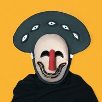 tortuganónima - Imago