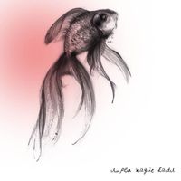 Super Magic Hats - Super Magic Hats