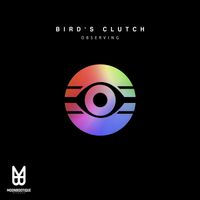 Bird's Clutch - Observing