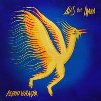Pedro Villagra - Alas Que Aman