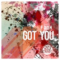 Fanatic Funk - Got You