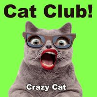 Crazy Cat - Cat Club!